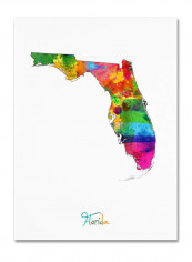 Florida Map Canvas Wall Art Multicolour 18 x 24inch
