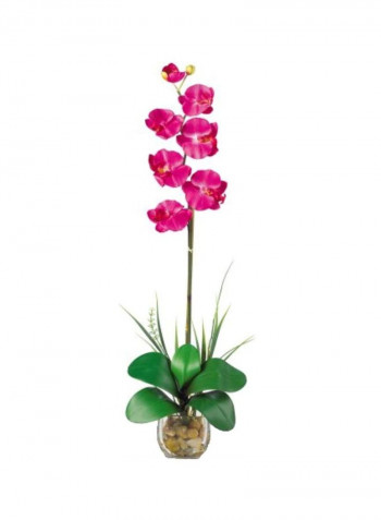 Phalaenopsis Liquid Illusion Silk Flower Arrangement Pink/Green 27inch