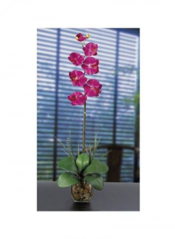 Phalaenopsis Liquid Illusion Silk Flower Arrangement Pink/Green 27inch