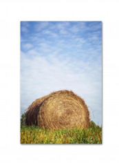 Ashland Canvas Wall Art Multicolour 12 x 19inch