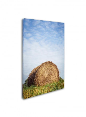 Ashland Canvas Wall Art Multicolour 12 x 19inch
