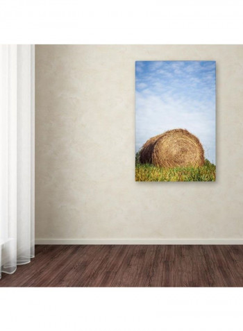 Ashland Canvas Wall Art Multicolour 12 x 19inch