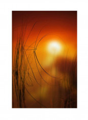 Nature Time Machine Canvas Wall Art Multicolour 16 x 24inch
