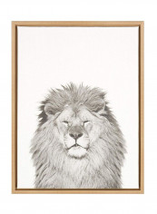 Sylvie Lion Animal Print Framed Canvas Wall Art White 18 x 24inch