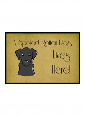 Labrador Spoiled Dog Lives Here Indoor/Outdoor Mat Multicolour 24 x 32inch