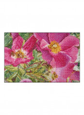 Counted Cross Stitch Kit Pink/Yellow/Green reviews Counted Cross Stitch Kit Pink/Yellow/Green