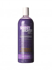 Shiny Silver Ultra Color Enhancing Conditioner 33.8ounce