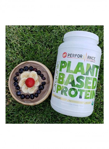 Organic Plant Based Protein Powder