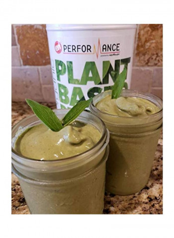 Organic Plant Based Protein Powder
