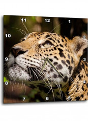 DPP 205836 1 Belize Belize City Captive Jaguar In Its Enclosure Wall Clock Multicolour 10x10inch
