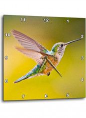 Rufous Hummingbird Wall Clock Multicolour 10x10inch