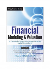 Financial Modeling And Valuation : A Practical Guide To Investment Banking And Private Equity Hardcover