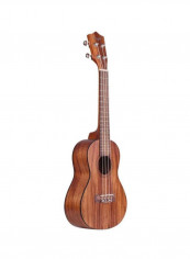 Acoustic Ukulele Guitar