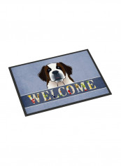 Saint Bernard Welcome Indoor/Outdoor Mat Multicolour 11 x 11inch