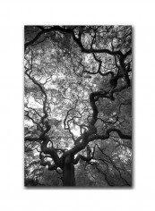 Sparkle Wooden Framed Wall Art White/Gold 11 x 11inch