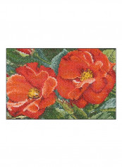 Counted Cross Stitch Kit Red/Green/Blue reviews Counted Cross Stitch Kit Red/Green/Blue