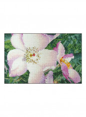 Rose Counted Cross Stitch Kit Pink/Purple/Green reviews Rose Counted Cross Stitch Kit Pink/Purple/Green