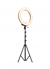 Dimmable Light With Light Stand White