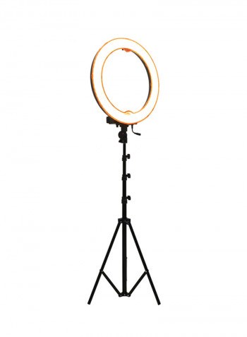Dimmable Light With Light Stand White