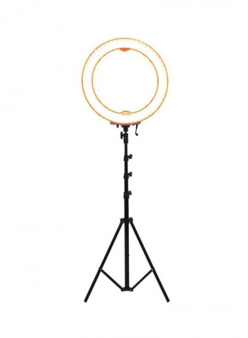 Dimmable Light With Stand Pink
