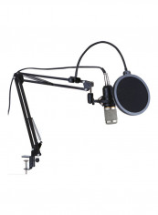 BM800 Professional Suspension Microphone Kit