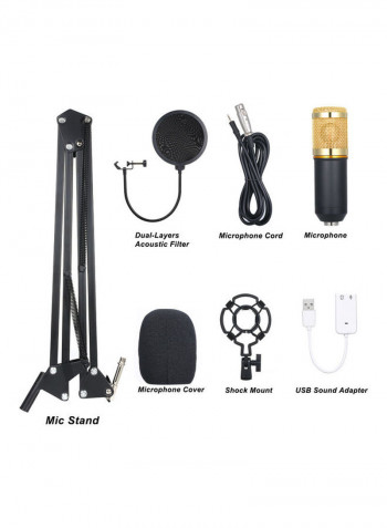 BM800 Professional Suspension Microphone Kit