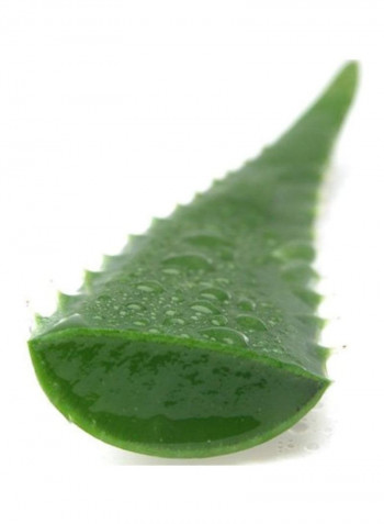 Aloe Vera Gel 6.8ounce