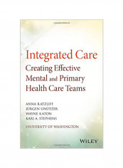 Integrated Care: Creating Effective Mental and Primary Health Care Teams Paperback