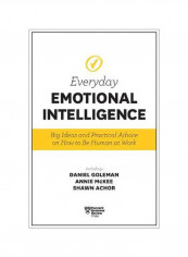 Everyday Emotional Intelligence Paperback reviews Everyday Emotional Intelligence Paperback