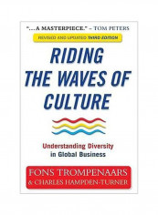 Riding The Waves Of Culture: Understanding Diversity In Global Business Paperback