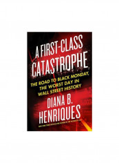A First-class Catastrophe Hardcover