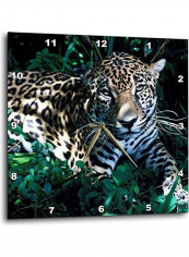 Jaguar Endangered Species Belize Rainforest Wall Clock Multicolour 10 X 10inch