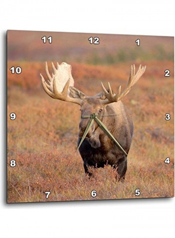 Moose Bull Wall Clock Multicolour 10 X 10inch