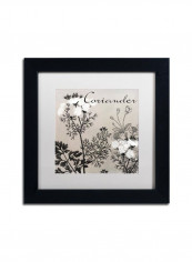 Flowering Herbs IV Framed Wall Art Multicolour 11 x 11inch