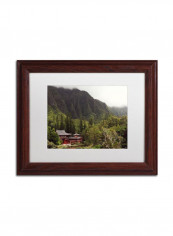 Hawaii Wooden Framed Wall Art Multicolour 11 x 14inch