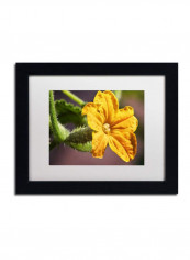 Cucumber Bloom Framed Wall Art Yellow/Green 11 x 14inch