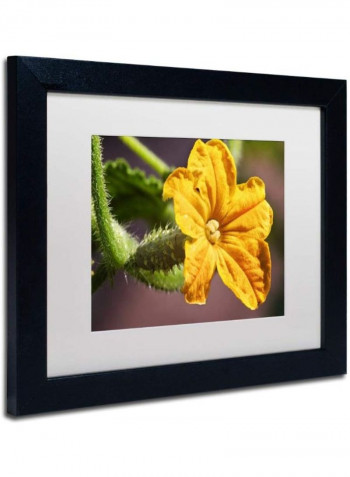Cucumber Bloom Framed Wall Art Yellow/Green 11 x 14inch