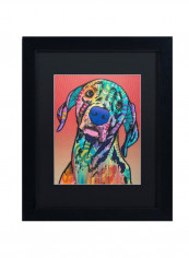 Napoleon 14 Wall Art Multicolour 11 x 14inch reviews Napoleon 14 Wall Art Multicolour 11 x 14inch