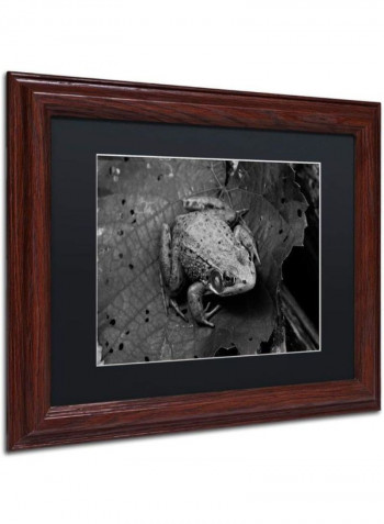 Northern Green Frog Wooden Frame Wall Art Black 11 x 14inch