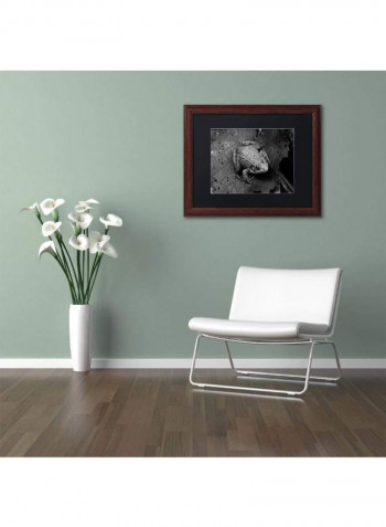 Northern Green Frog Wooden Frame Wall Art Black 11 x 14inch