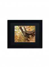 Tree Of Shelter Framed Wall Art multicolour 11 x 14inch