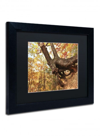 Tree Of Shelter Framed Wall Art multicolour 11 x 14inch