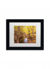 Beaver Creek 5 Wall Art Multicolour 11 x 14inch reviews Beaver Creek 5 Wall Art Multicolour 11 x 14inch
