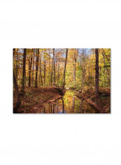 Morgan Street Canvas Wall Art Multicolour 12 x 19inch