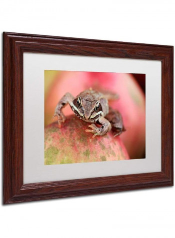 Wood Frog Wooden Frame Acrylic Wall Art Multicolour 11 x 14inch