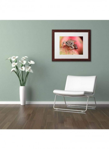 Wood Frog Wooden Frame Acrylic Wall Art Multicolour 11 x 14inch