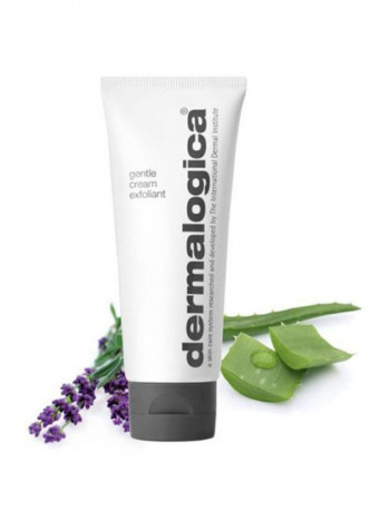 Gentle Cream Exfoliant 75ml