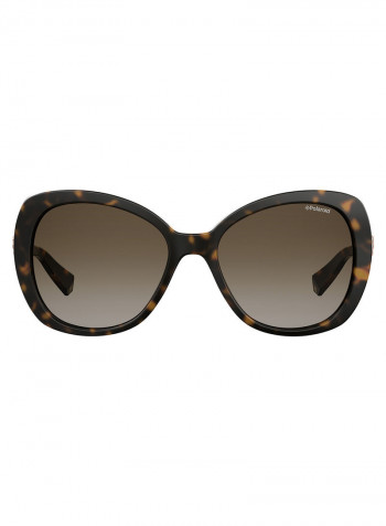 Women's Butterfly Sunglasses - Lens Size: 56 mm