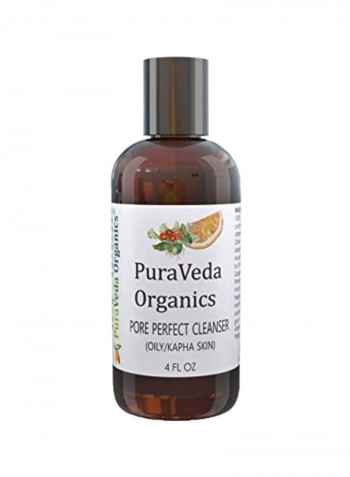 Pore Minimizing Daily Facial Cleanser 4ounce