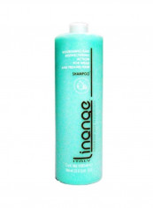 Nourishing And Restructuring Action Shampoo 33.8أوقية تقييمات Nourishing And Restructuring Action Shampoo 33.8أوقية